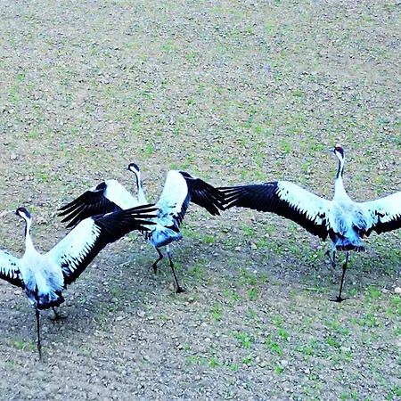 Perfect View - Widok W Ilawie Garaz Podziemny, Winda, Netflix Апартаменты *